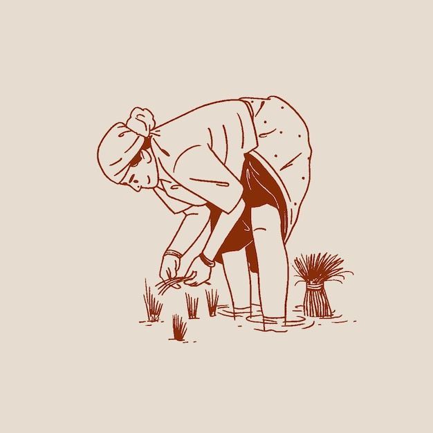 Line illustration of an Indonesian farmer bending to tend seedlings in a paddy